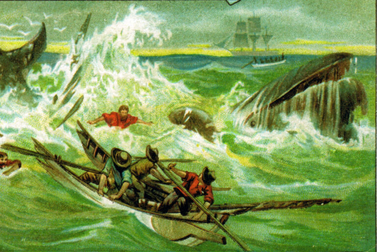 Whale Shipwreck
