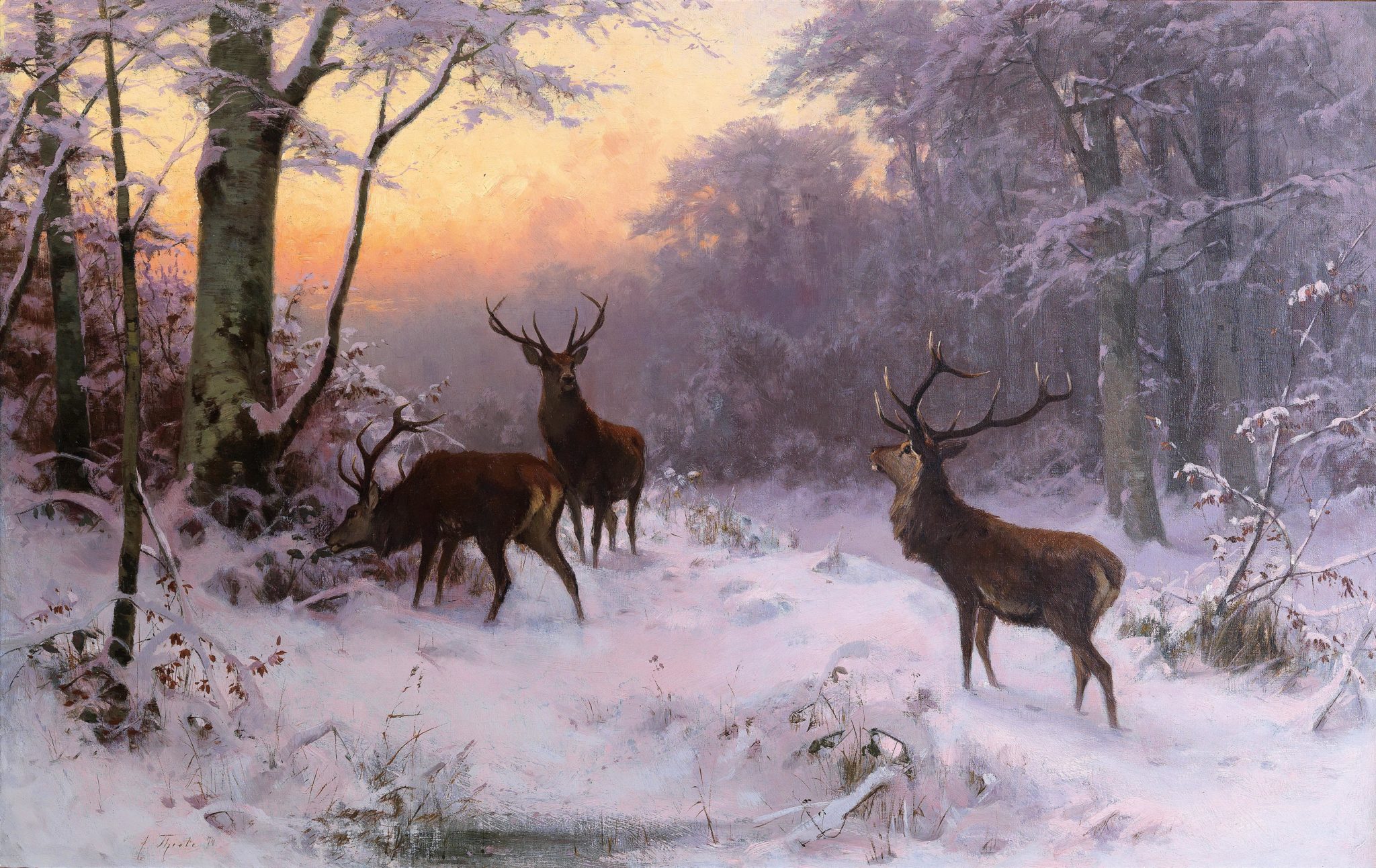 Deer in a Winter Woodland, by Arthur Thiele
