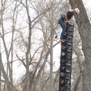 Crate Stacking at the Ludi Mariales
