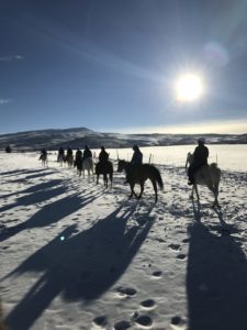 Snow Horses and Sun