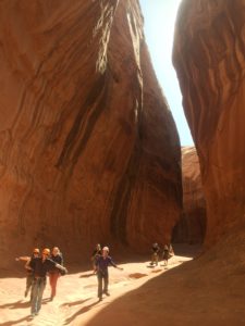 From the Slot Canyon