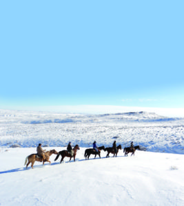 Snow Horses