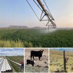 Smedts Farm & Ranch
