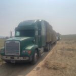 Double D Ranch/Wind River Wild Horse Sanctuary